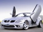 2005 LSD-doors Mercedes-Benz SLK