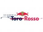 2011 Toro Rosso Logo