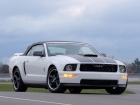 2006 Ford Mustang GT Project