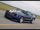 2006 Ford Mustang GT Shadrach